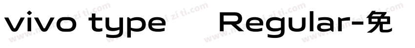 vivo type 简 Regular字体转换
